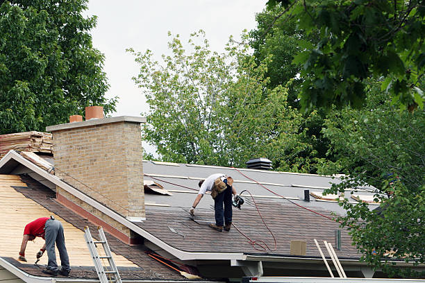 Quick and Trustworthy Emergency Roof Repair Services in Lake Lorraine, FL