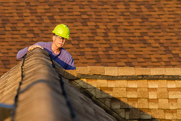 Best Roof Gutter Cleaning  in Lake Lorraine, FL